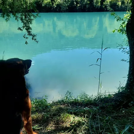 Sobe - Ninin Ostanak kod kuće *